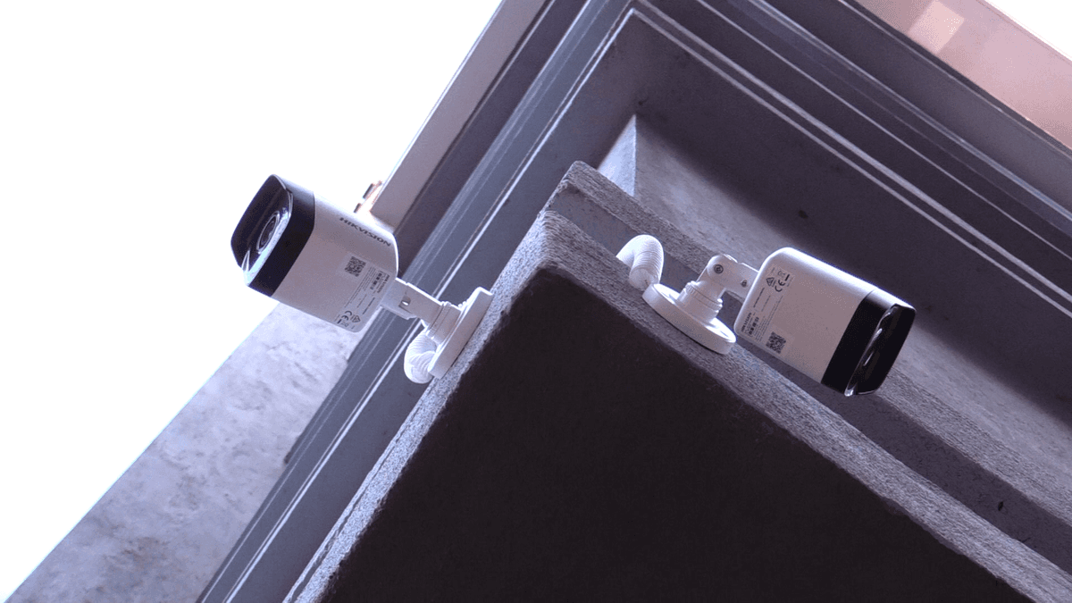 sparrow-img 3